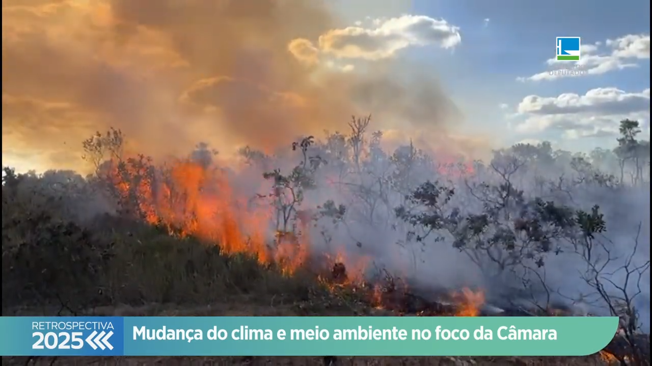 Retrospectiva 2025 - Meio Ambiente