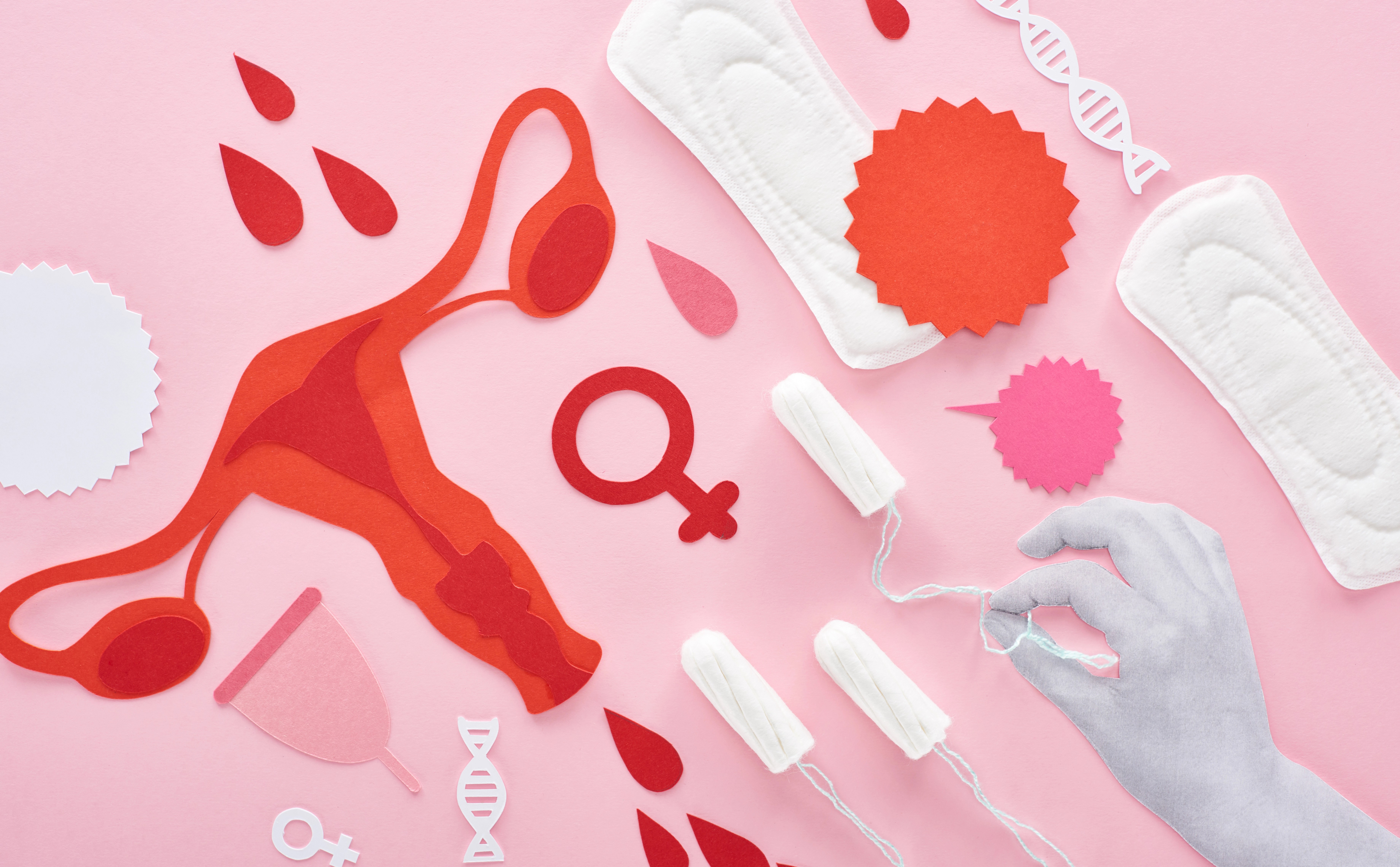 Saúde menstrual - parte 2