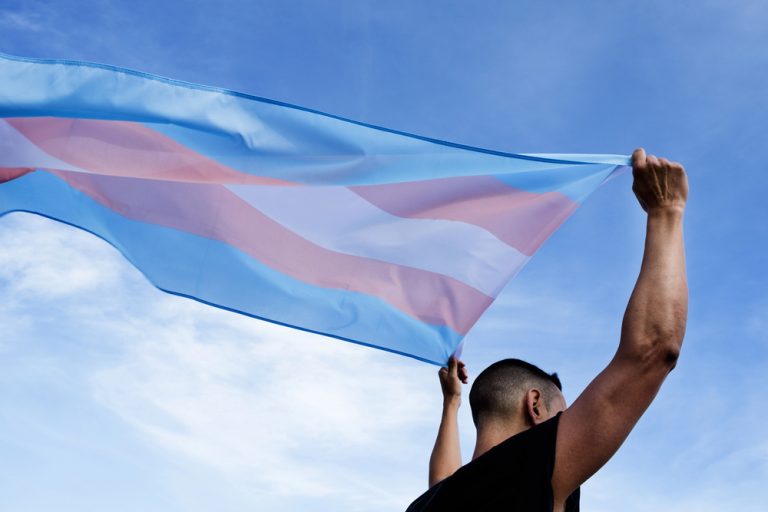 Palácio do Congresso Nacional ganha projeção nesta quinta pelo Dia Nacional da Visibilidade Trans