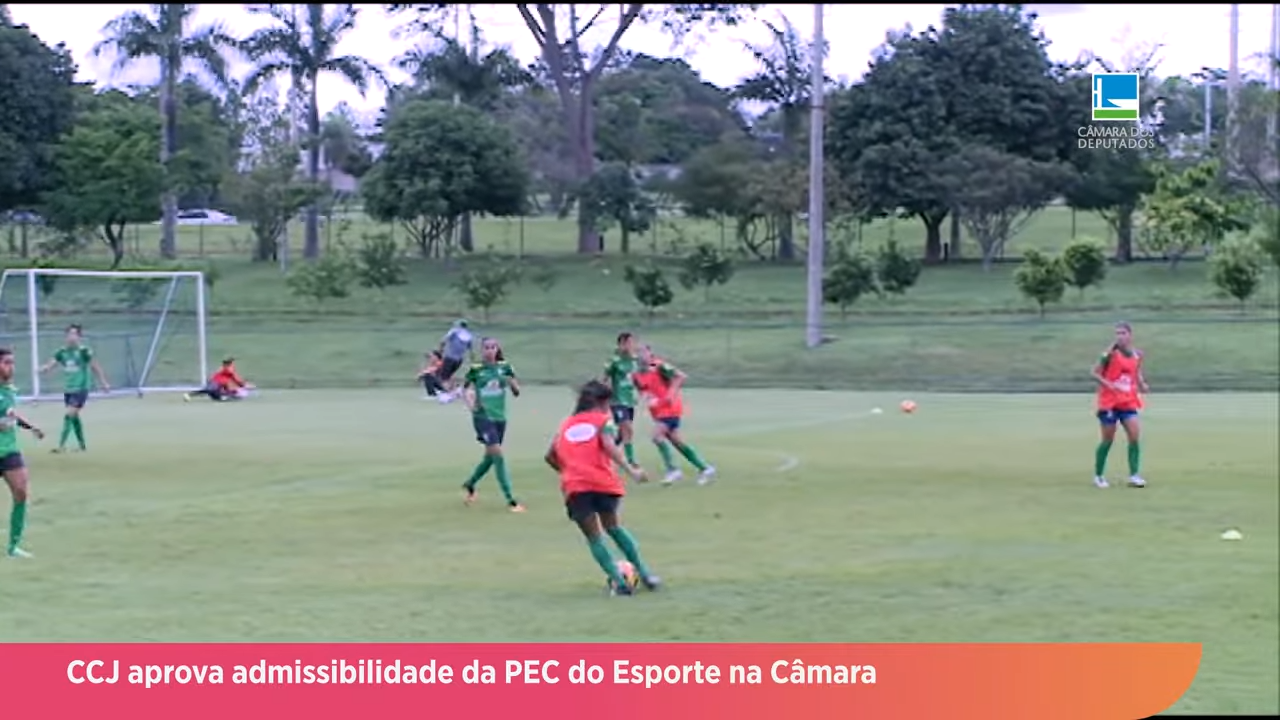 CCJ aprova admissibilidade da PEC do Esporte na Câmara