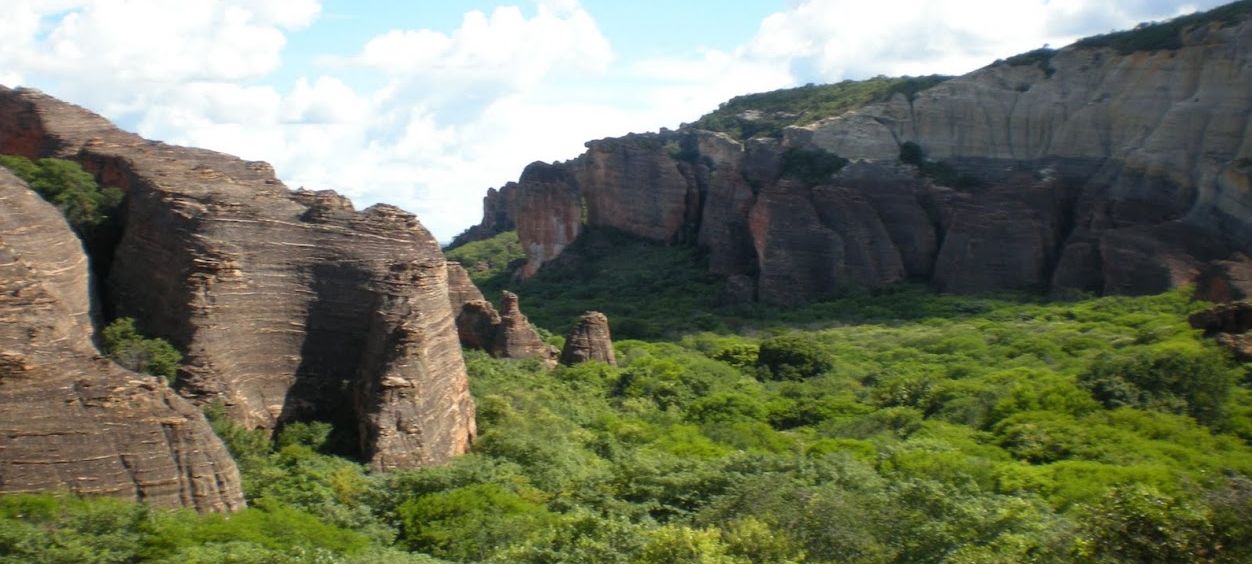 Mosaicos e corredores ecológicos (reprise)