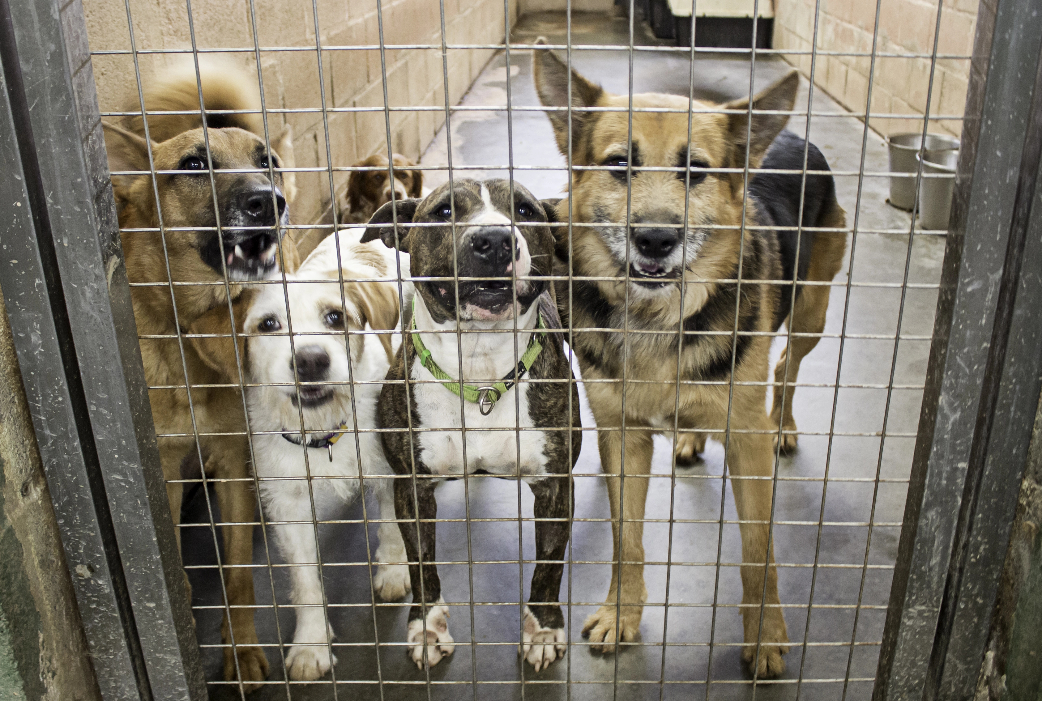 Descrição da imagem da notícia