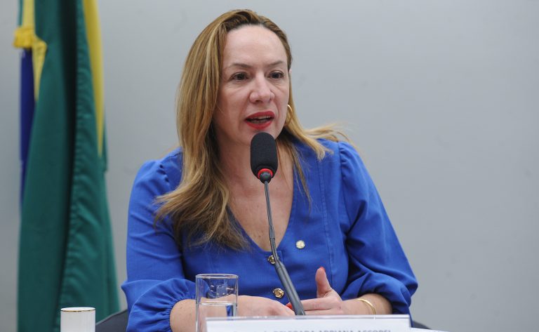 Audiência Pública - Tribuna Das Mulheres: Combate à violência de gênero. Dep. Delegada Adriana Accorsi (PT-GO)
