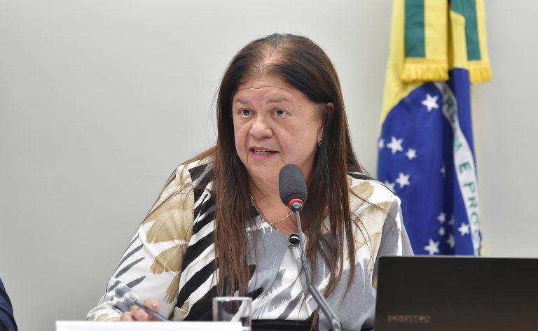 Deputada Laura Carneiro (PSD-RJ) fala em comissão da Câmara dos Deputados