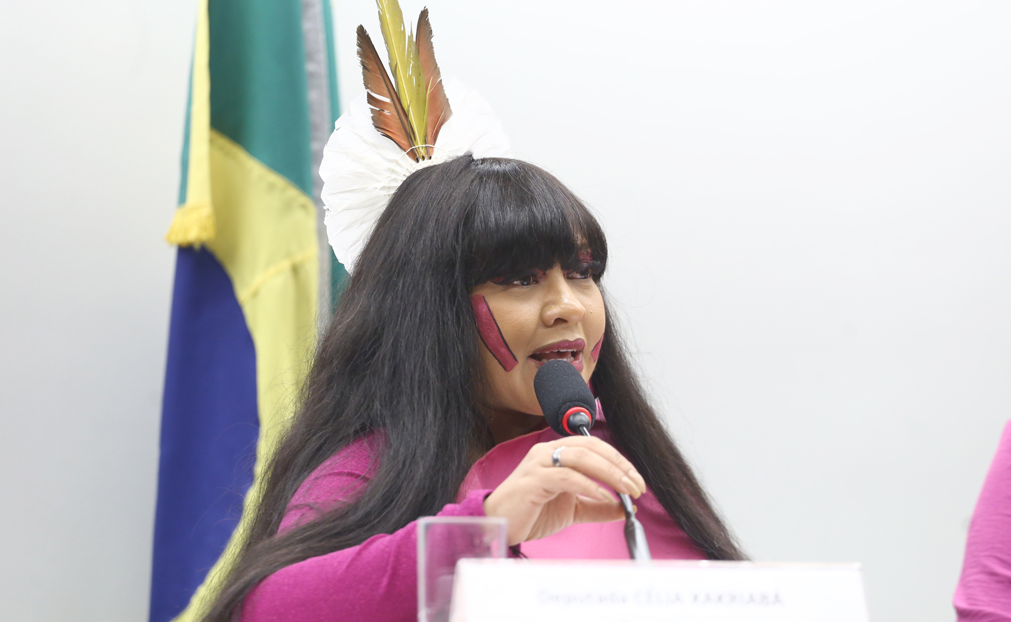 Descrição da imagem da notícia