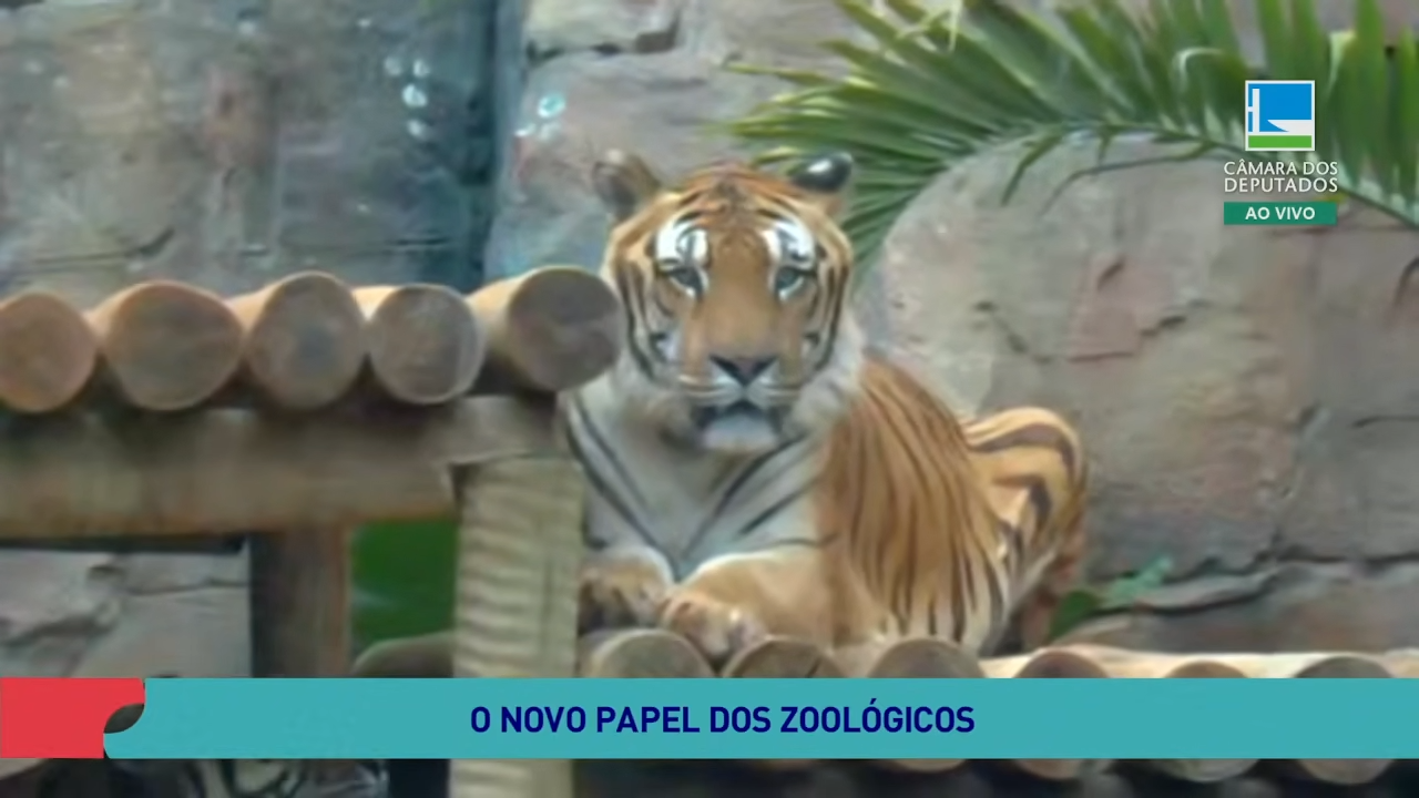 Participação Popular | O novo papel dos zoológicos