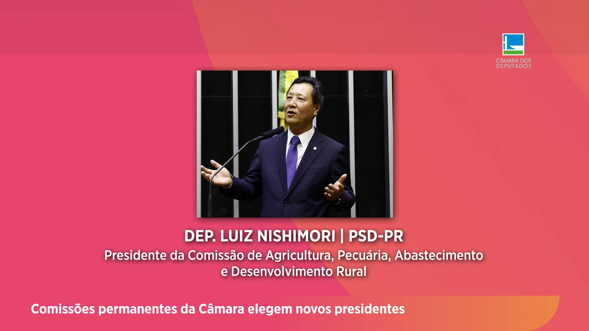 Comissões permanentes da Câmara elegem novos presidentes