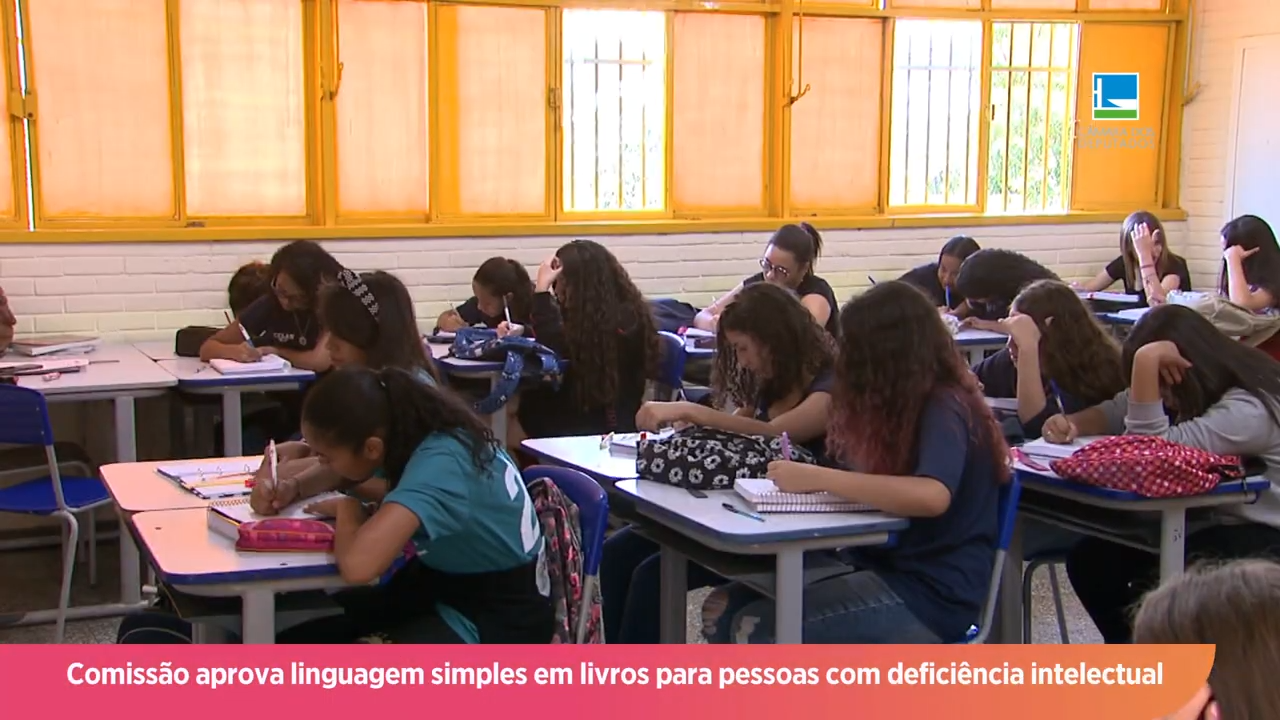 Comissão aprova linguagem simples em livros para pessoas com deficiência intelectual