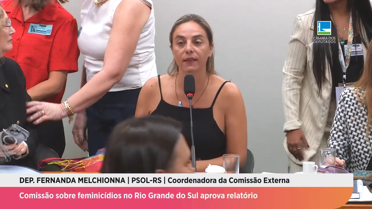 Comissão sobre feminicídios no Rio Grande do Sul aprova relatório