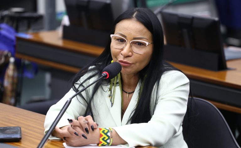 Audiência Pública - Debate de Políticas Públicas e estratégias eficazes para a prevenção do abuso sexual de crianças e adolescentes. Dep. Silvia Waiãpi (PL - AP)