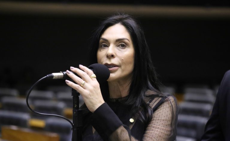 Discussão e votação de propostas legislativas. Dep. Geovania de Sá (PSDB-SC)