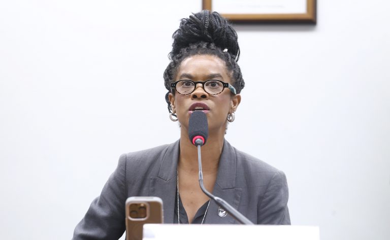 Reunião de Instalação e Eleição. Dep. Carol Dartora (PT - PR)