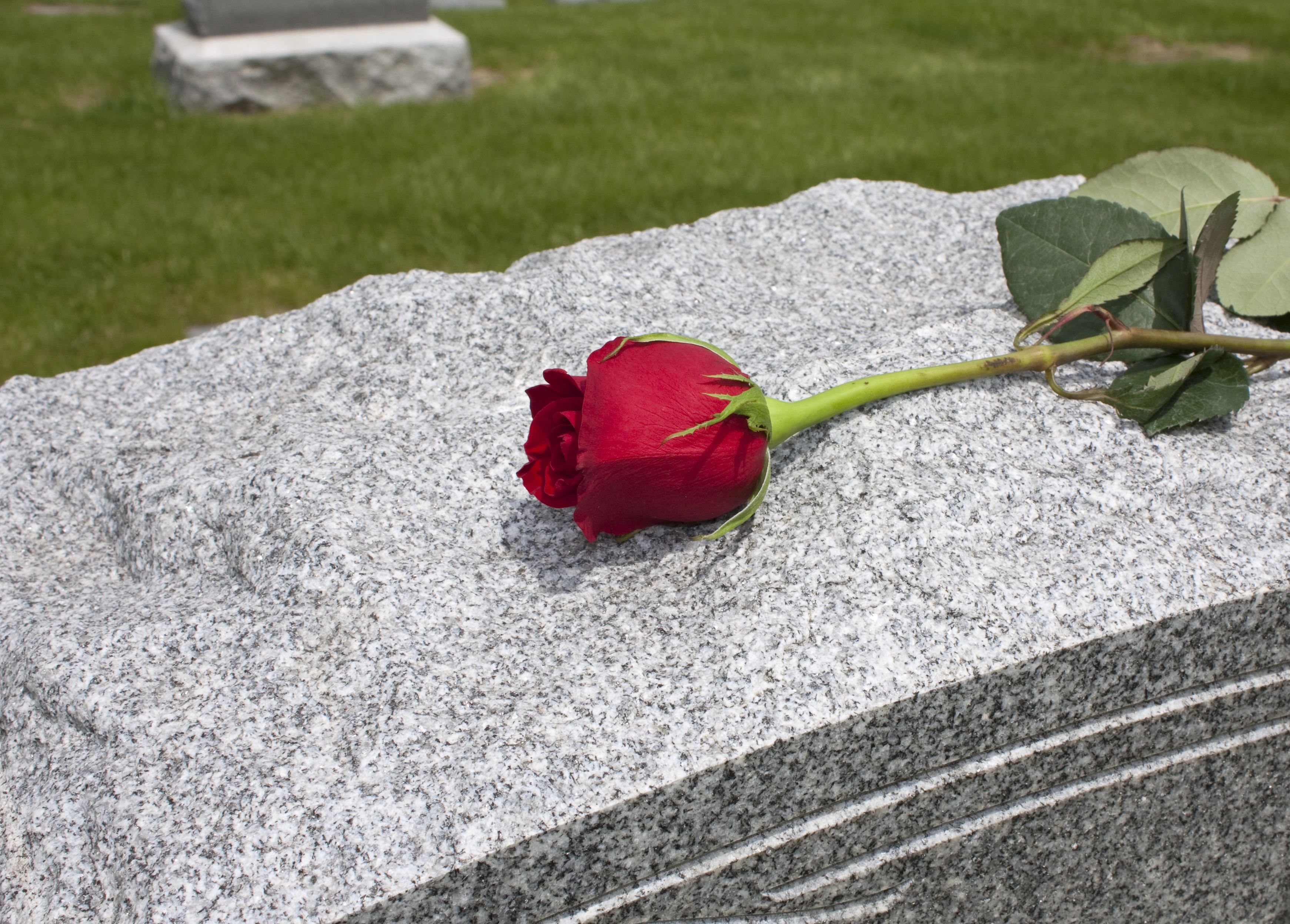 Morte "matada"