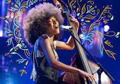 Contrabaixista que também canta mostra versatilidade em diferentes estilos