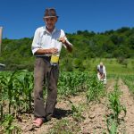 Lei dispensa multa para contar tempo de trabalho rural anterior a 1991 na aposentadoria