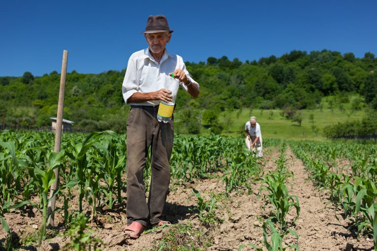 Agricultores trabalhando no campo