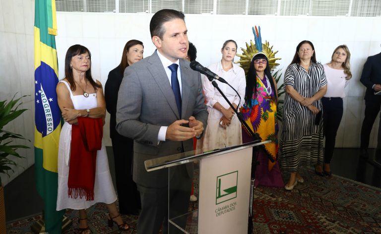 Motta afirma que projetos da bancada feminina serão a prioridade de votação neste mês Motta afirma que projetos da bancada feminina serão a prioridade de votação neste mês