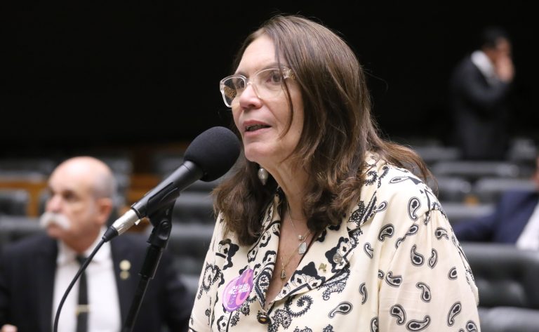 Discussão e votação de propostas legislativas. Dep. Bia Kicis (PL-DF)