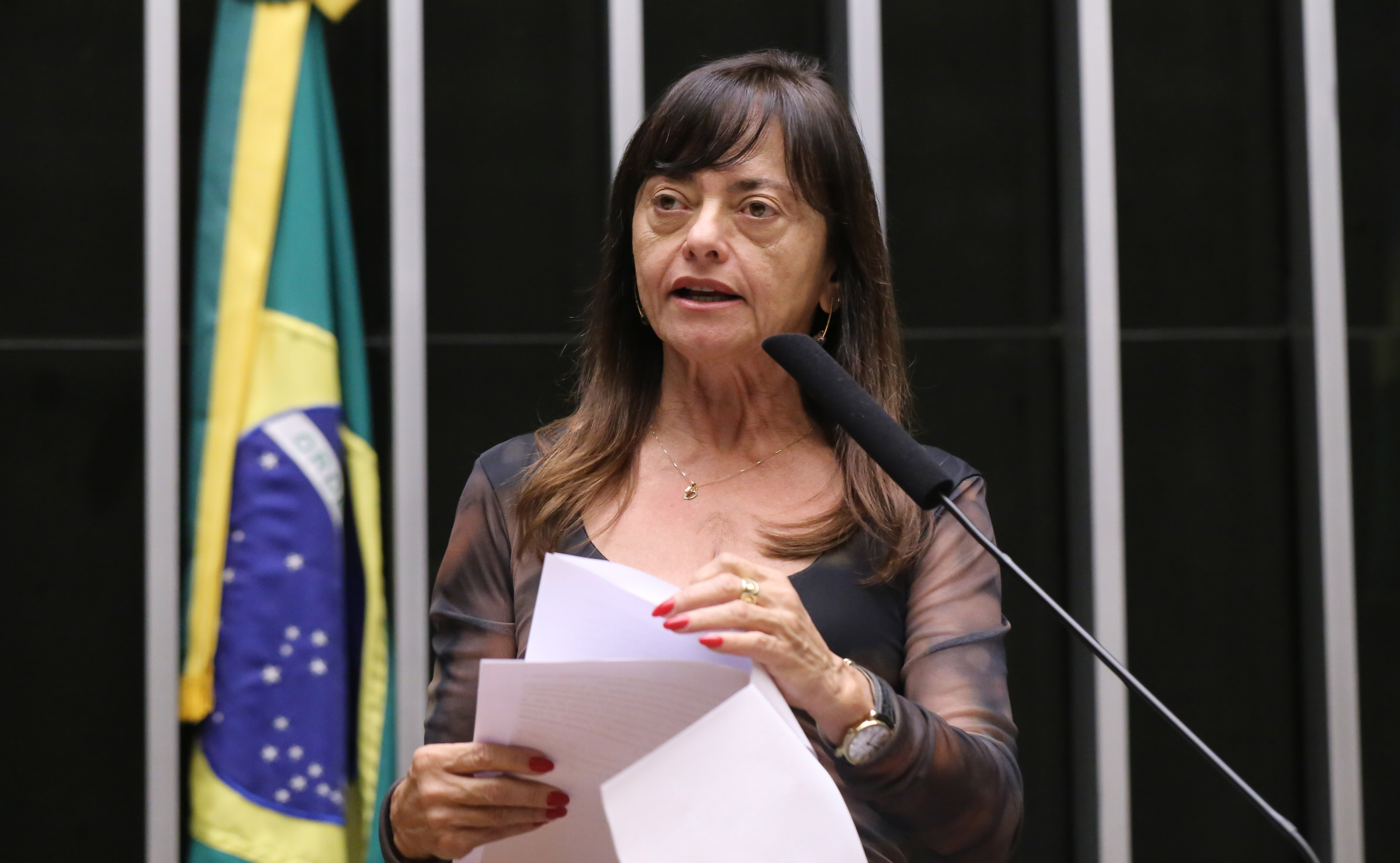 Descrição da imagem da notícia