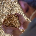 Cancelado debate sobre rastreabilidade de agrotóxicos e certificação de grãos