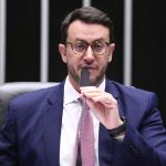 Comissão aprova regras para transplantes de órgãos e tecidos de animais domésticos