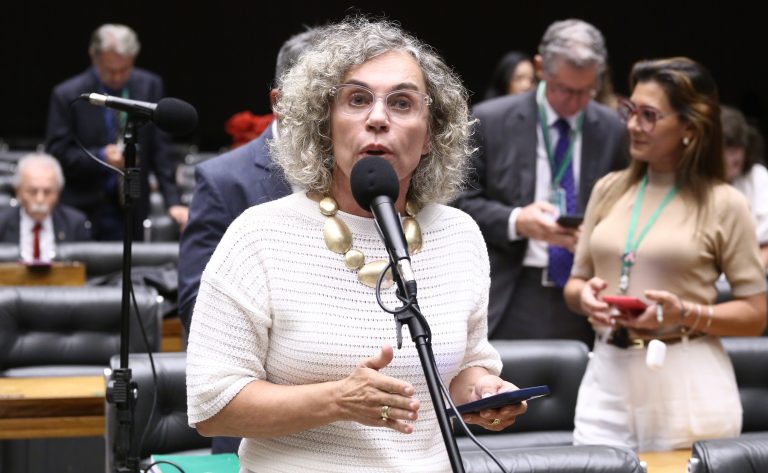 Comissão da Câmara aprova criação do Selo Empresa Amiga da Maternidade Solo – Notícias