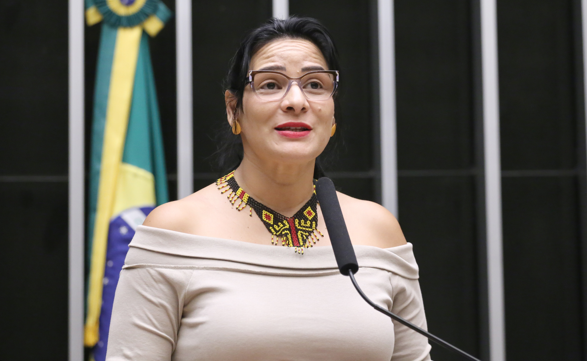 Comissão debate direitos dos povos indígenas nesta quarta Comissão debate direitos dos povos indígenas nesta quarta