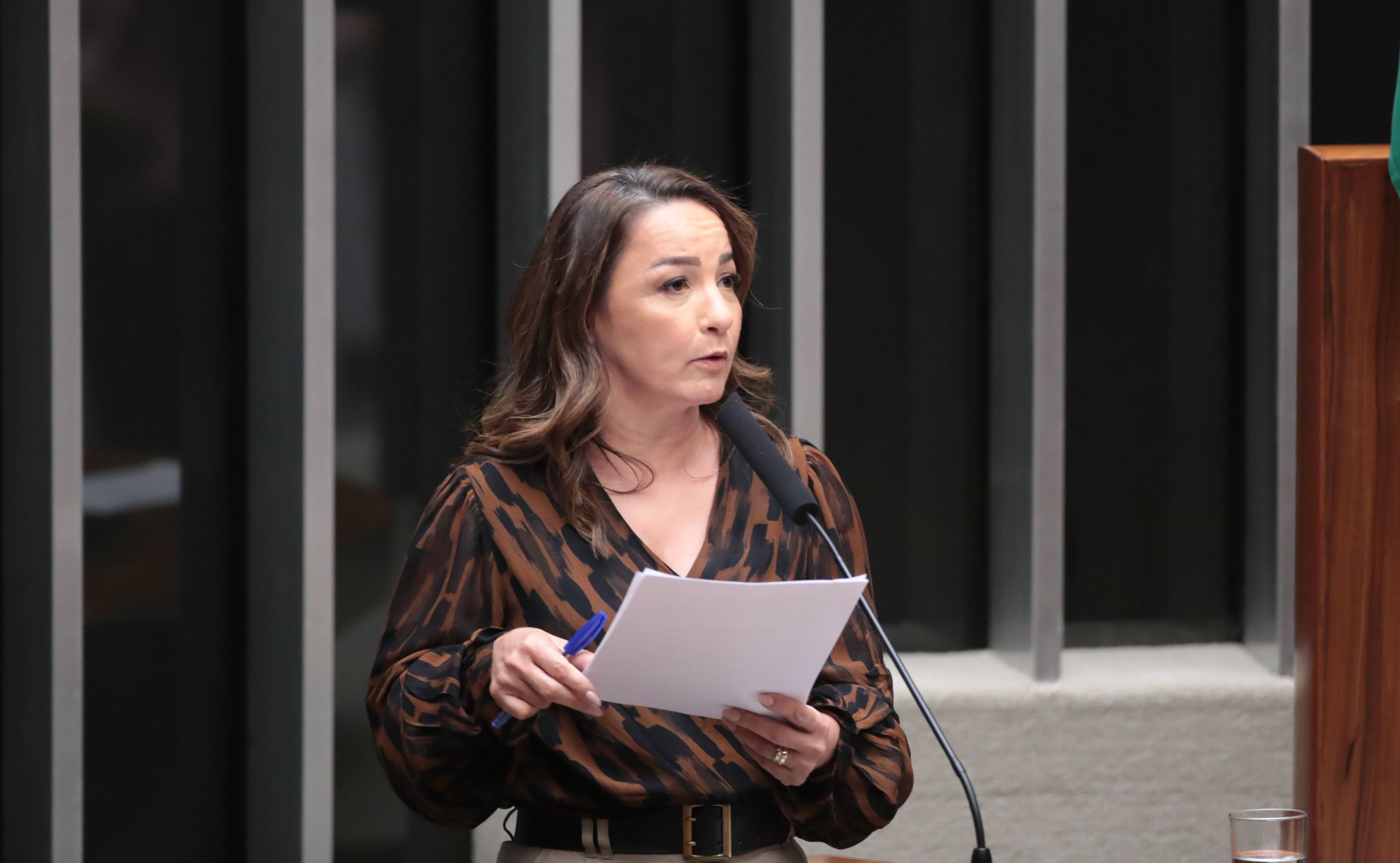 Descrição da imagem da notícia