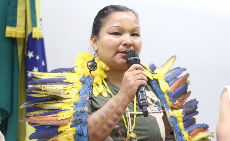 Audiência Pública - Vítimas repressão estatal e empresarial durante a ditadura militar. Representante do Povo Jihaui - AM, Elda Diarroi.