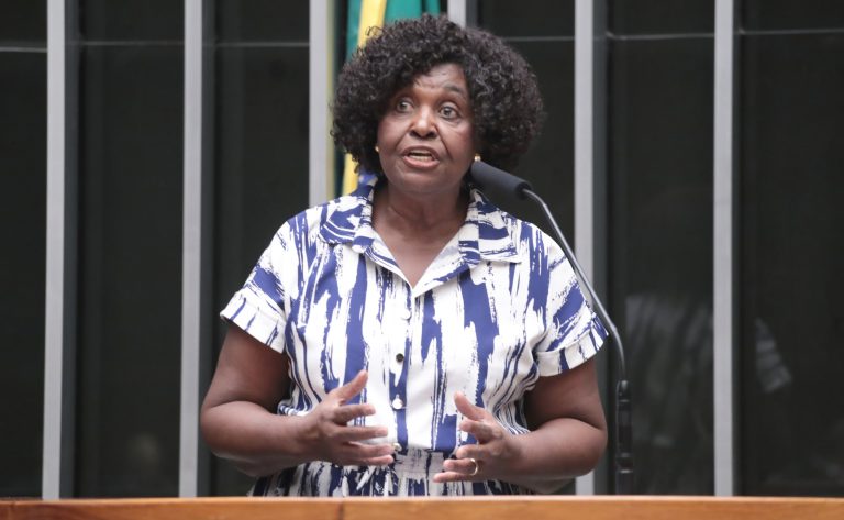 Discussão e votação de propostas legislativas. Dep. Benedita da Silva (PT - RJ)