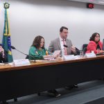 Participantes de audiência apontam falta de apoio a ONGs de animais e superlotação de abrigos