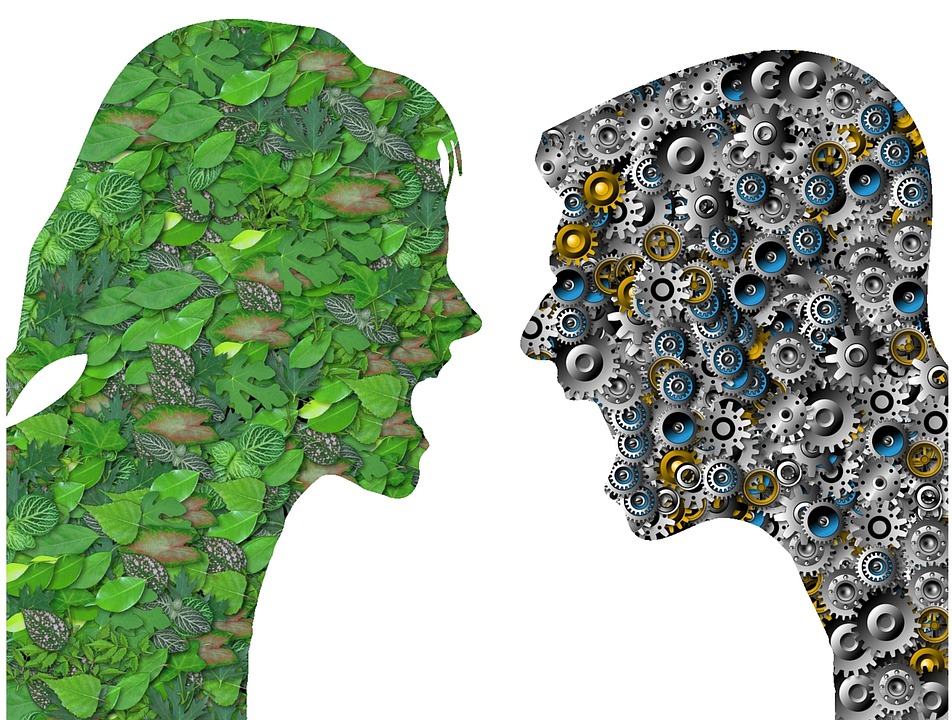 Meio ambiente em ano eleitoral