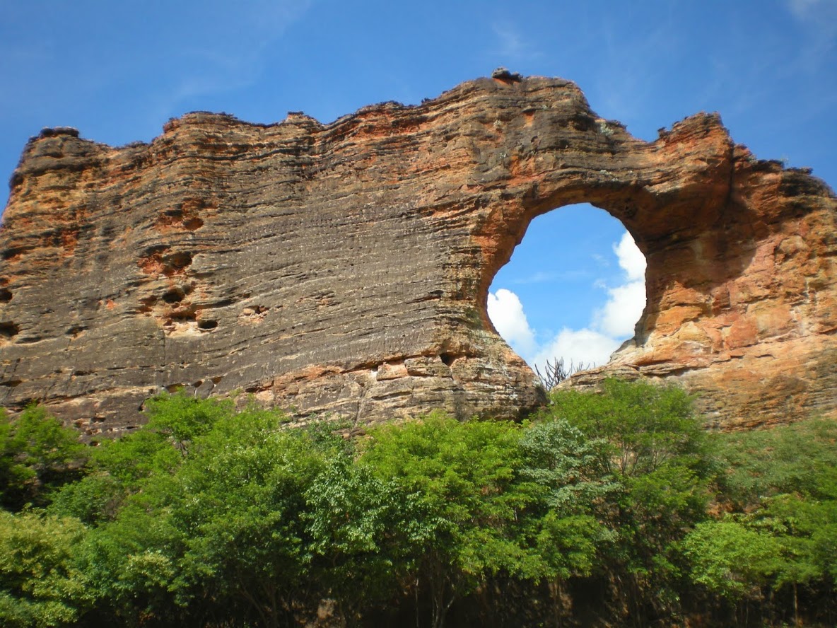 Dia Nacional da Caatinga (reprise)