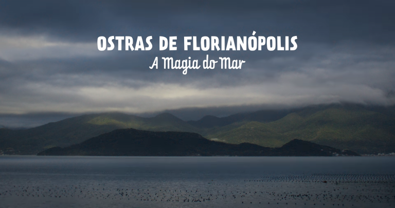 Ostras de Florianópolis