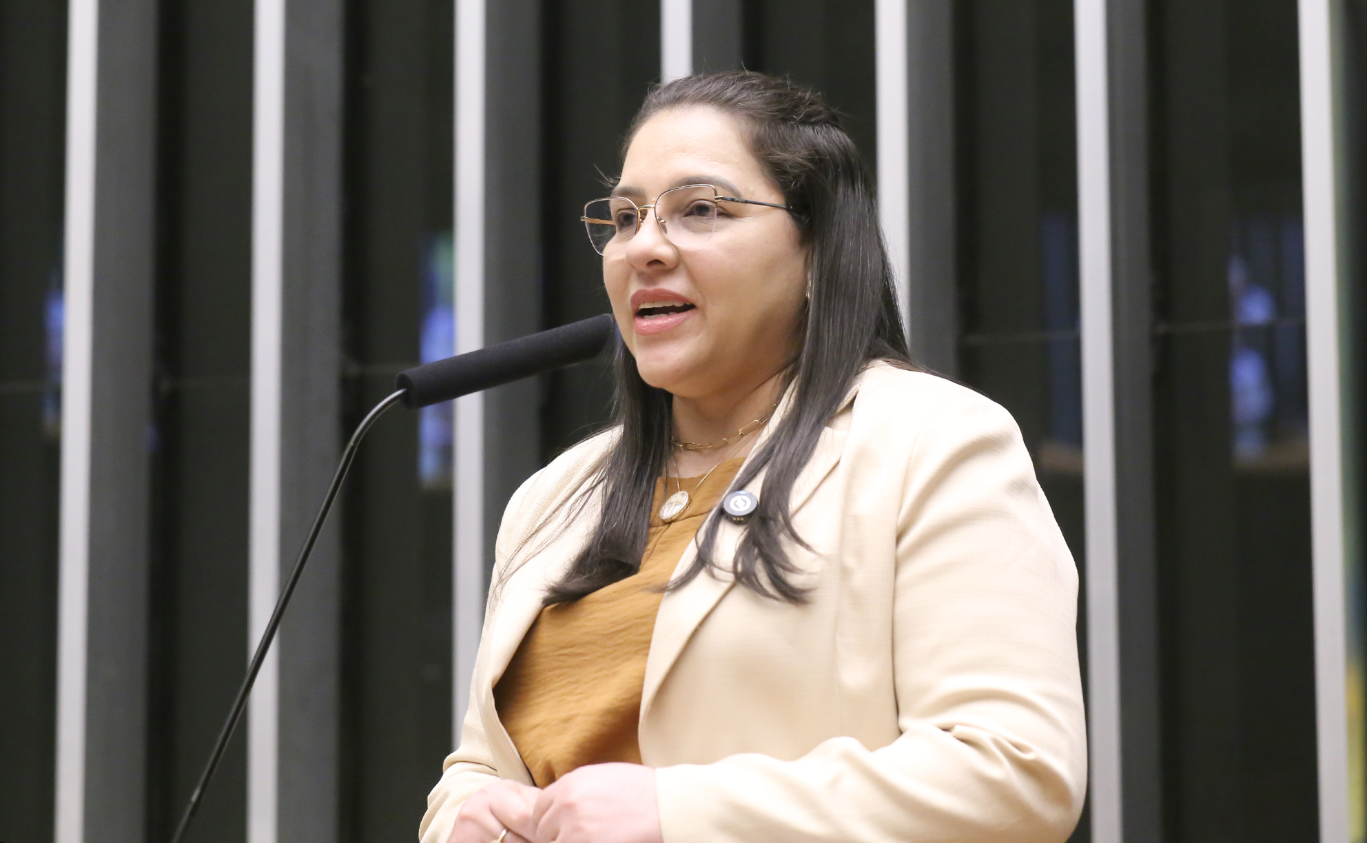 Comissão aprova criação de programa de incentivo ao cultivo e à exportação de açaí Comissão aprova criação de programa de incentivo ao cultivo e à exportação de açaí