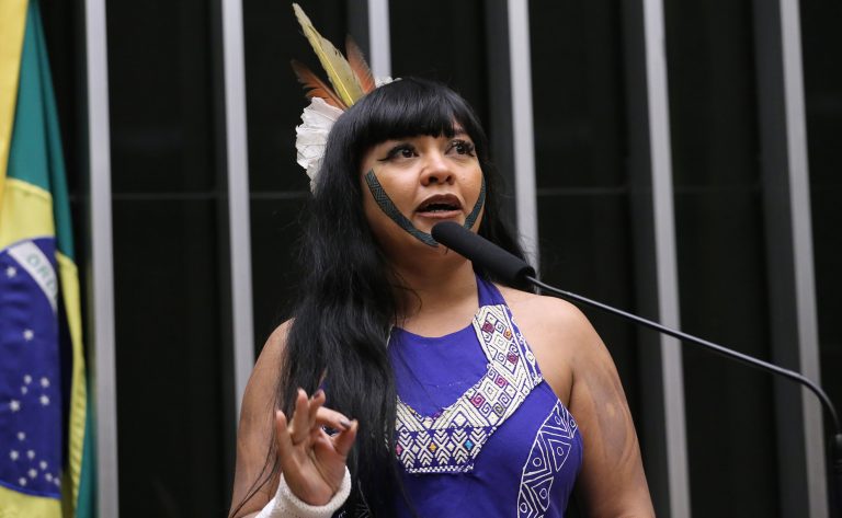 Deputada Célia Xakriabá (Psol-MG) fala no Plenário da Câmara dos Deputados