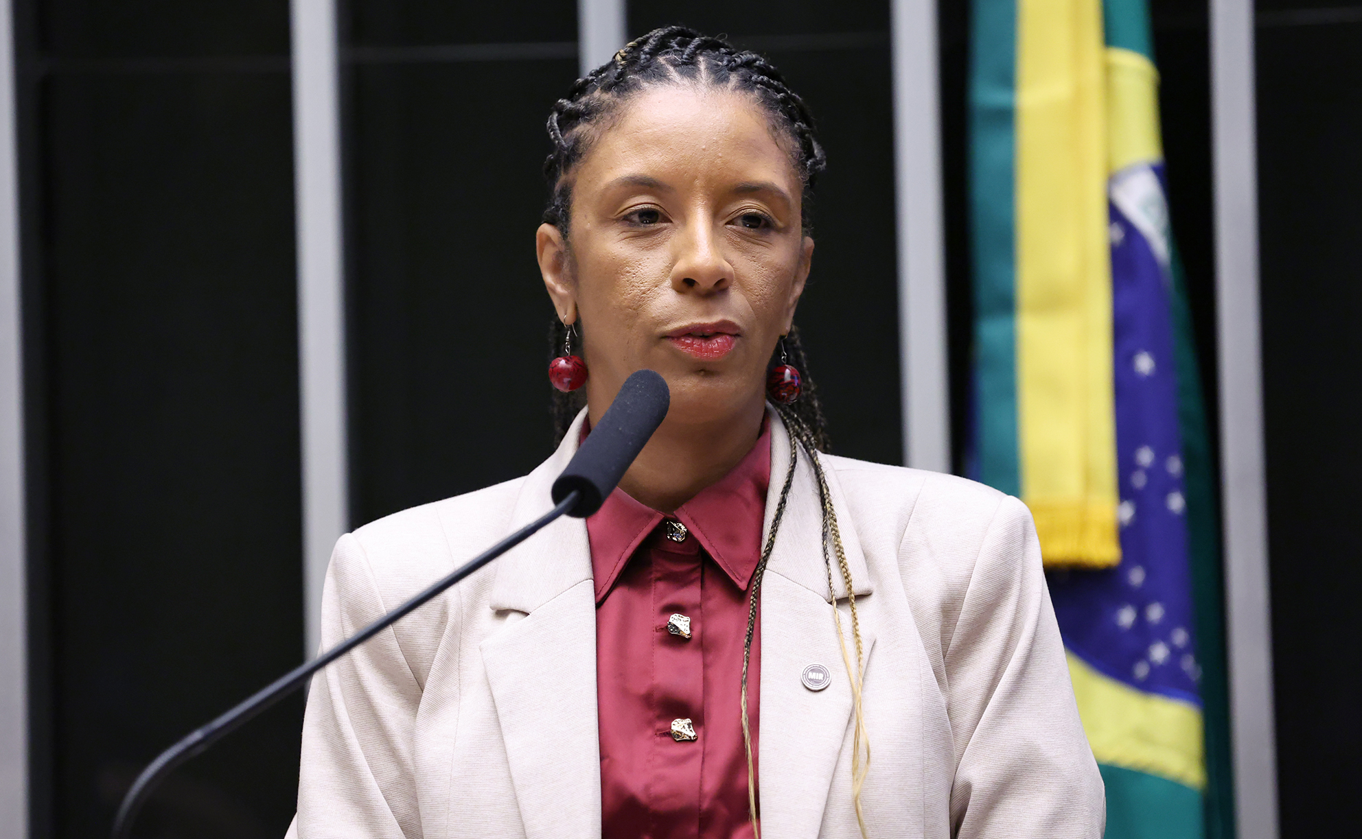 Ministra da Igualdade Racial afirma que demarcação de terras quilombolas é prioridade de Estado Ministra da Igualdade Racial afirma que demarcação de terras quilombolas é prioridade de Estado