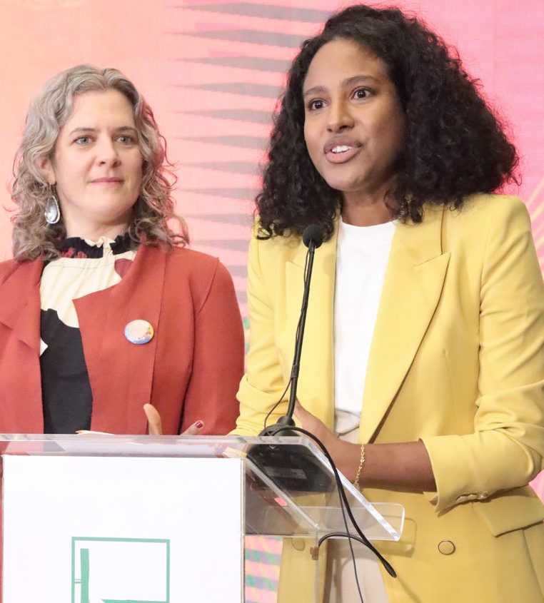 Seminário - Ser menina não Deveria Doer: Saúde Menstrual, Endometriose e Proteção da Infância. Coordenadora de Relações Governamentais no Instituto Alana, Tayanne Galeno.
