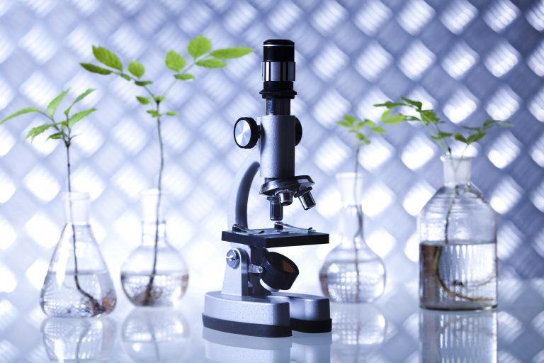 Audiência na Câmara discute pesquisas em agricultura espacial – Notícias Audiência na Câmara discute pesquisas em agricultura espacial – Notícias
