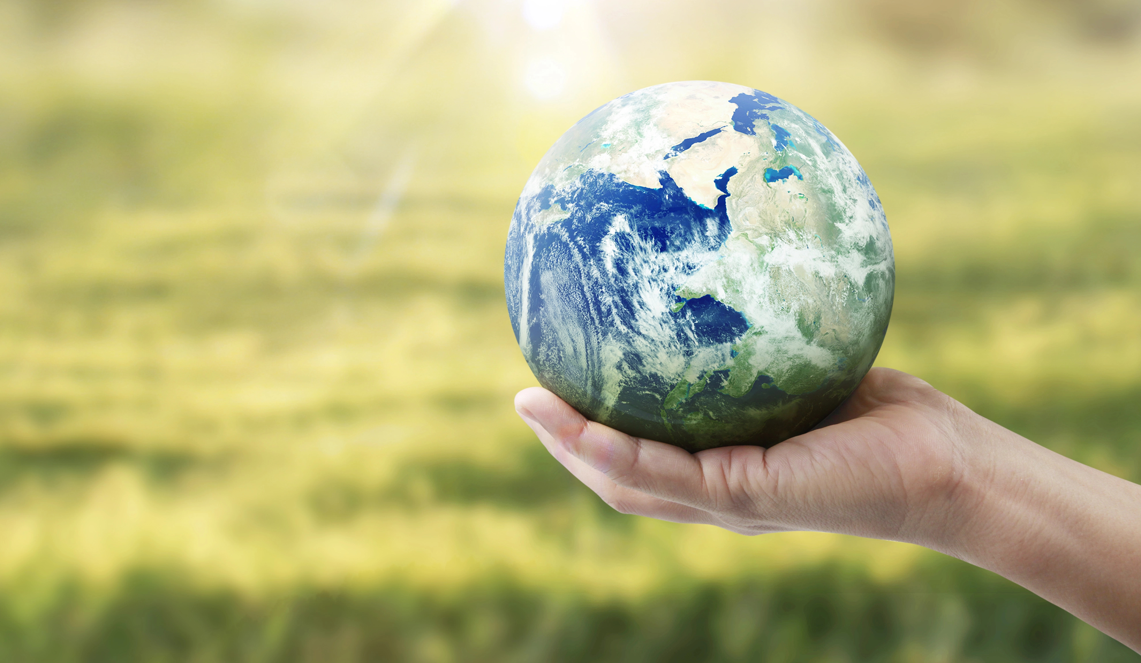 Dia Mundial do Meio Ambiente terá projeção de imagens e frases no Palácio do Congresso Nacional