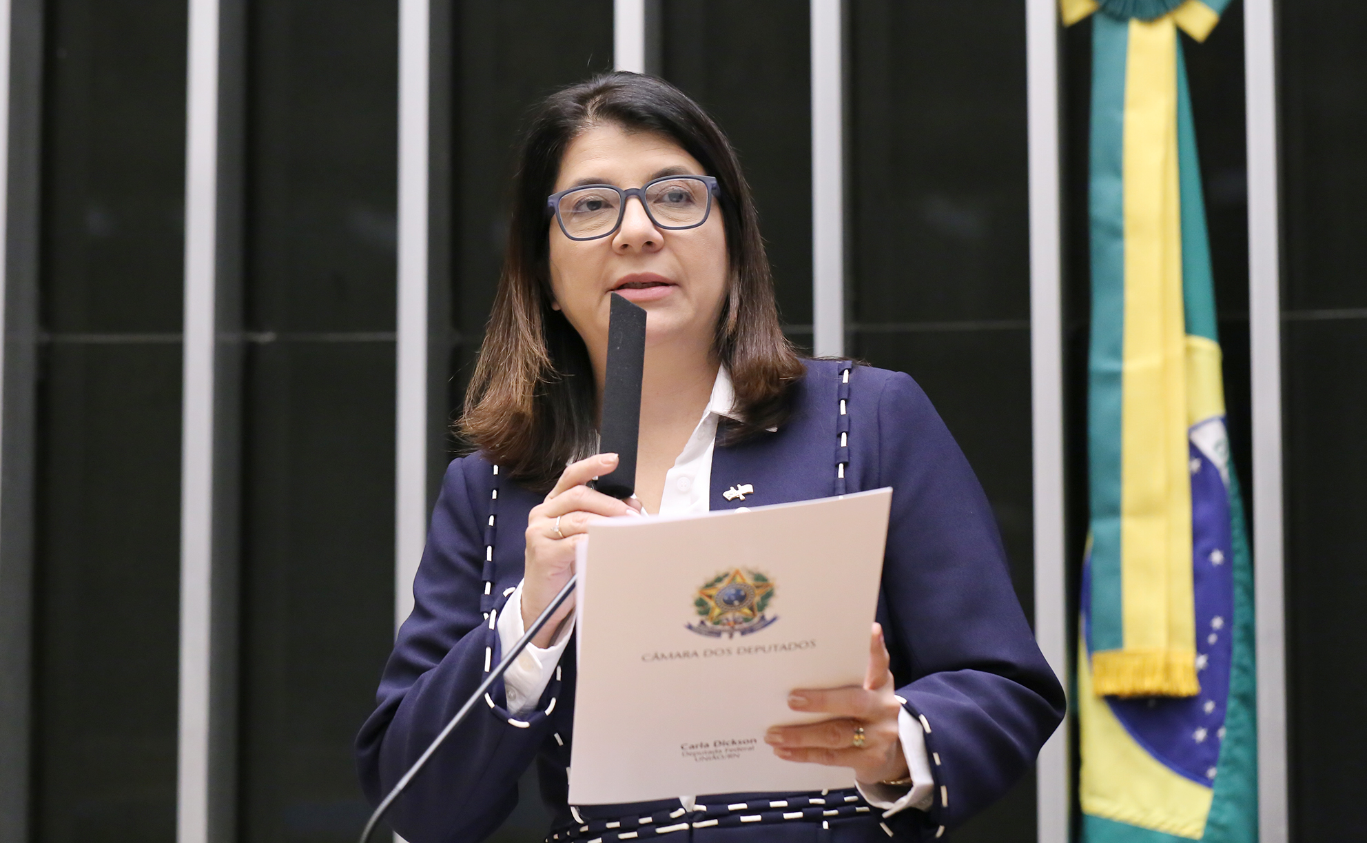 Comissão debate assistência consular e proteção de brasileiros no exterior Comissão debate assistência consular e proteção de brasileiros no exterior