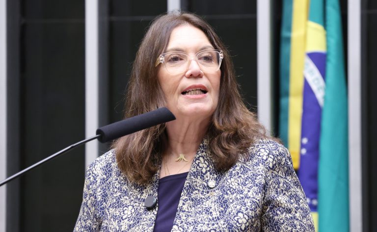 Deputada Bia Kicis (PL-DF) fala no Plenário da Câmara dos Deputados
