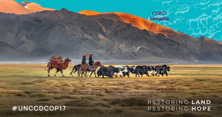COP17-Desertificação: é possível reverter os estragos