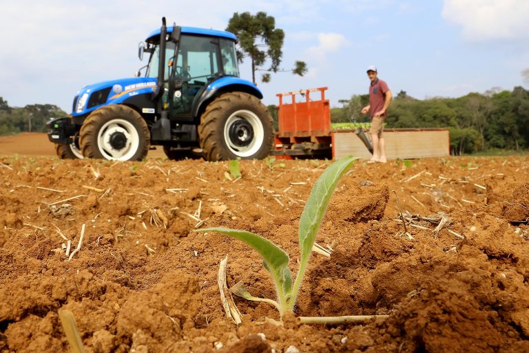 Medida provisória cria linhas de crédito para produtores rurais afetados pelo clima e pela queda de preços Medida provisória cria linhas de crédito para produtores rurais afetados pelo clima e pela queda de preços