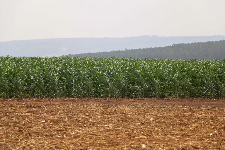 Retrospectiva: deputados aprovaram incentivos para a indústria nacional de fertilizantes – Notícias Retrospectiva: deputados aprovaram incentivos para a indústria nacional de fertilizantes – Notícias