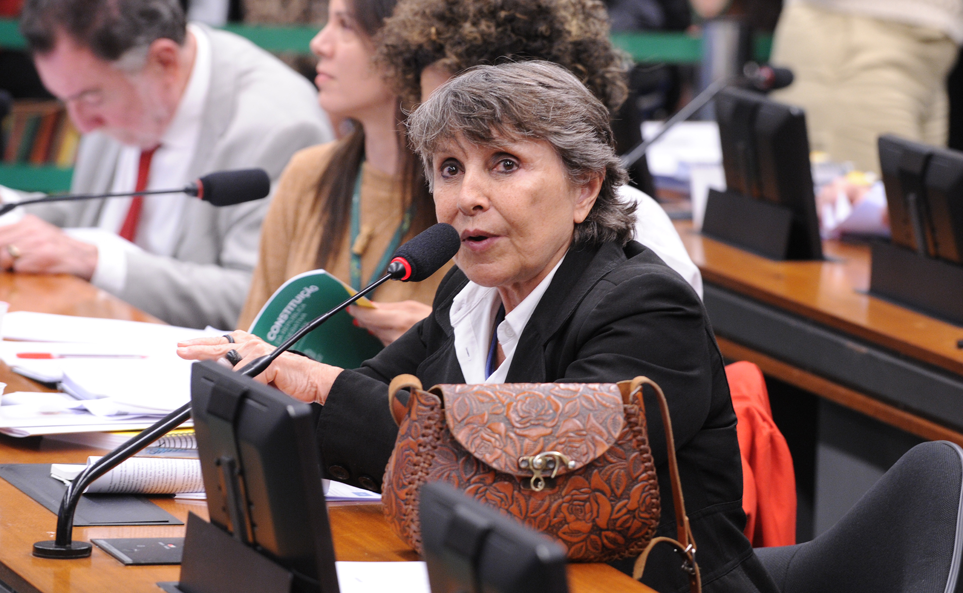 Comissão aprova criação de serviço nacional de acolhimento para mulheres vítimas de violência Comissão aprova criação de serviço nacional de acolhimento para mulheres vítimas de violência