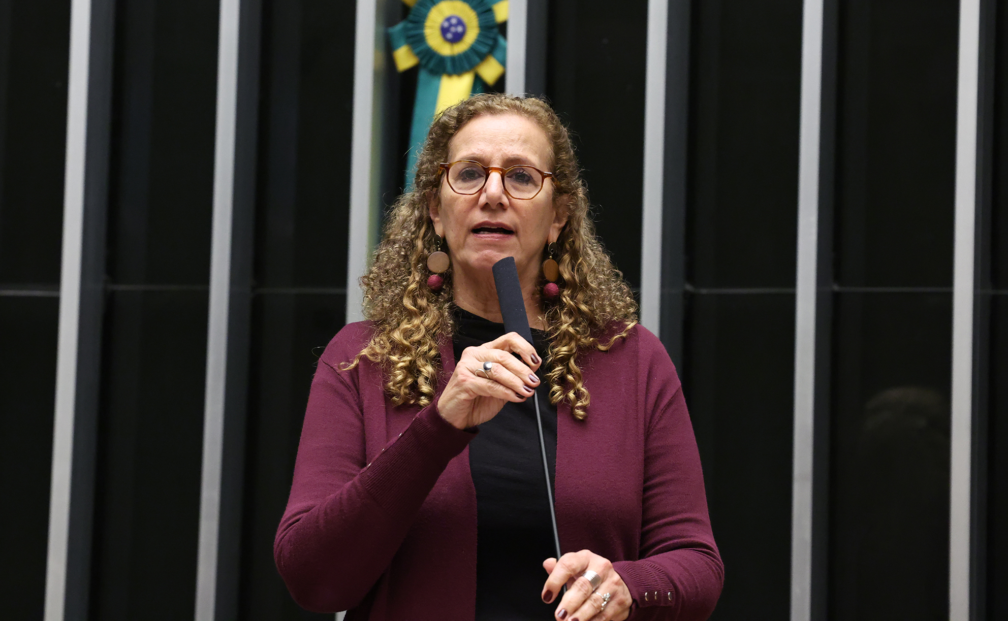 Câmara aprova criação do Sistema Nacional de Enfrentamento da Violência contra Meninas e Mulheres Câmara aprova criação do Sistema Nacional de Enfrentamento da Violência contra Meninas e Mulheres