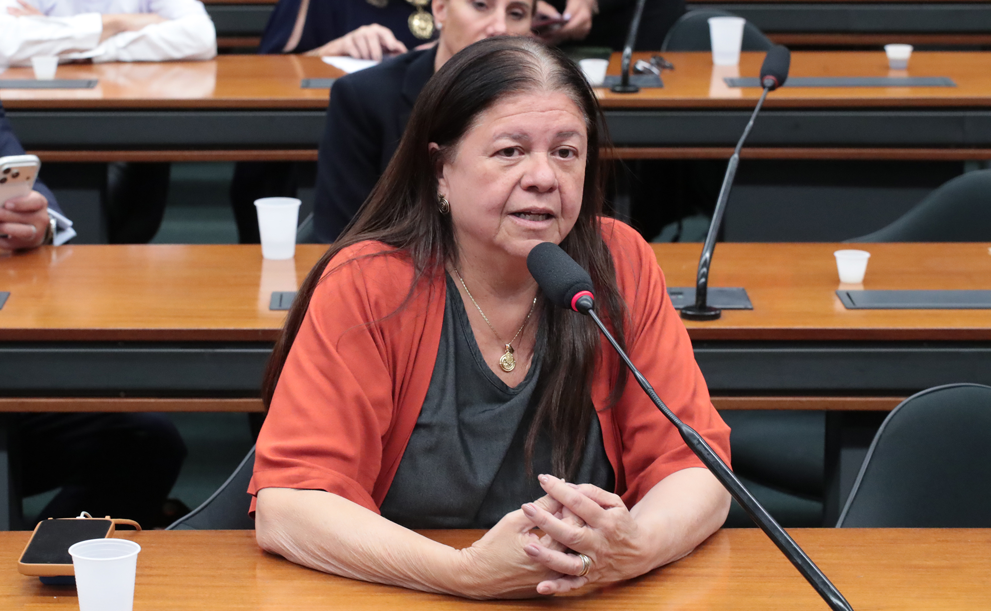 Projeto inclui no ECA regra sobre atuação do Ministério Público em pedido de pensão alimentícia Projeto inclui no ECA regra sobre atuação do Ministério Público em pedido de pensão alimentícia